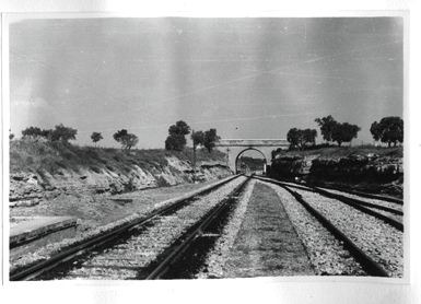 Valju general 02