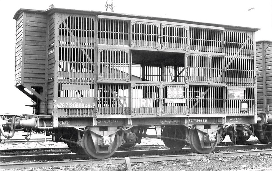 Unificado01